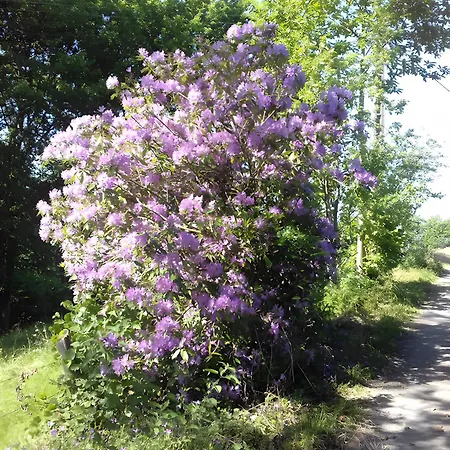 Ranch * Tirepied-sur-See