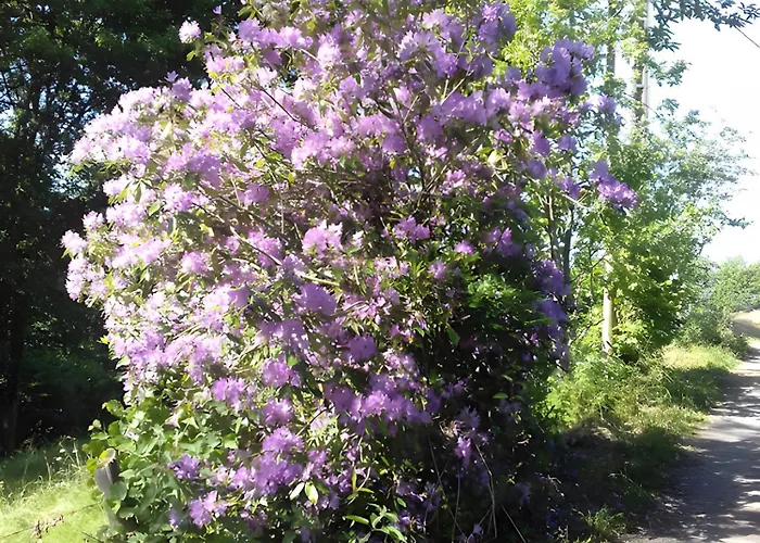 Ranch * Tirepied-sur-See